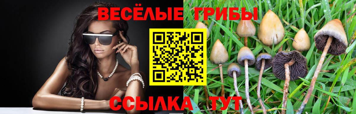 Псилоцибиновые грибы Magic Shrooms  Вход с VPN  Сочи 
